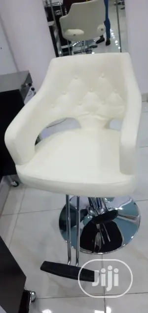 Modern Stylist Chair