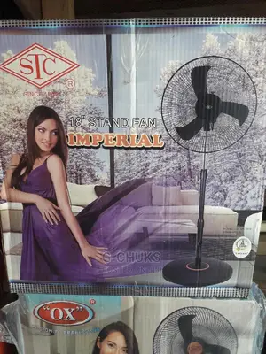 STC Electric Stand Fan