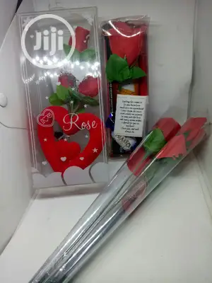 Lovers Package 07 (Rose Flowers, Snack and Bag)