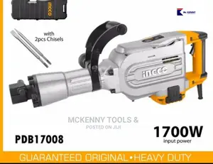Demolition Breaker 1700watts