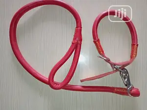 Leather Collar and Leash