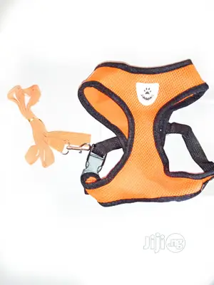 Small Dog Vest