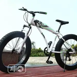 Yilong Giant Tire Bicycle