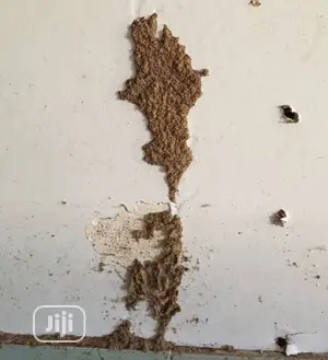 Termite Control Roof/Furniture Preservation