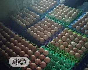 Eggs In Wholesale And Retail Prices