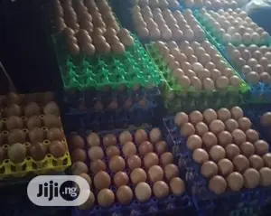 Farm Fresh Eggs