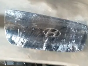 Santafe 2008 Front Grille