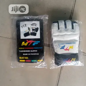 Taekwondo Gloves