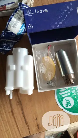 Fuel Pump and Fuel Filter Hyundai Sonata 2008