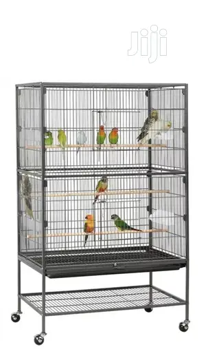 Bird Cages for Parrot and Co