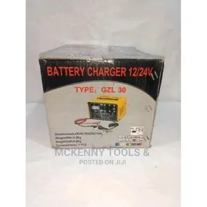 Car Battery Charger-30ams