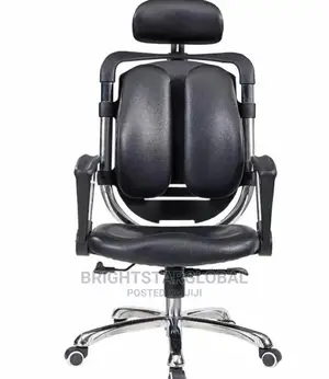 Ergonomic Chair (Standard Back Support)
