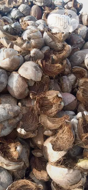 Coco Peat 1 Ton.
