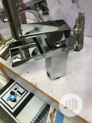 Stainless Mixer Tap 1