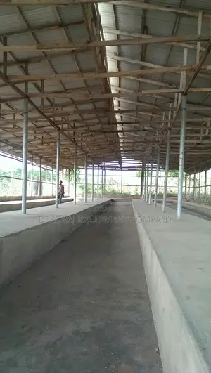 5000 Chicken Dekoraj Poultry Pen House Construction
