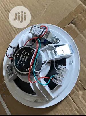Ceiling Speaker 10 Watts