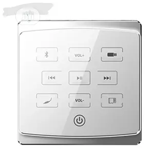 Smart Bluetooth FM USB Wall Amplifier for Ceiling Speakers