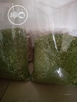 Moringa Dry Leaves