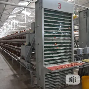 Poultry Cage China Automatic Poultry Cage