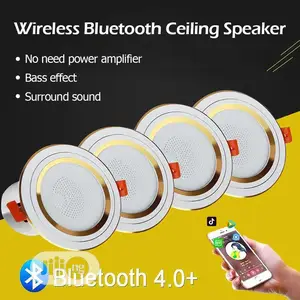 Wireless Bluetooth Lightining Ceiling Speaker