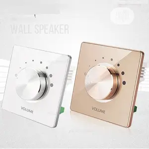 Smart Speaker Inwall Volume Control