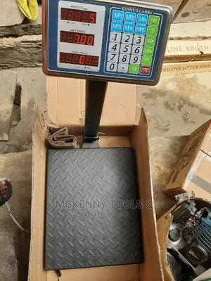 Electronic Platform Scale 300A