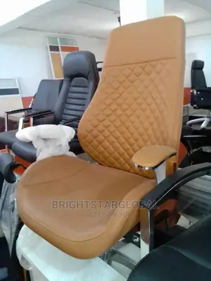 Executive Office Chairs Imported Brand New