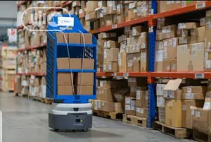 Cargo Freight Forwarder, Customs Clearing, Export