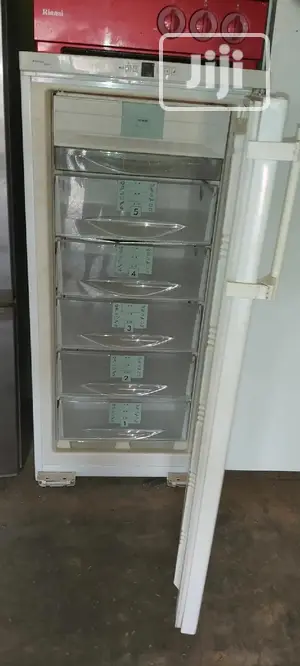 Liebherr Standing Freezer