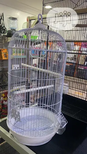 Roof Top Bird Cage
