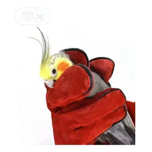 Bird Parrot Handling Gloves Pair