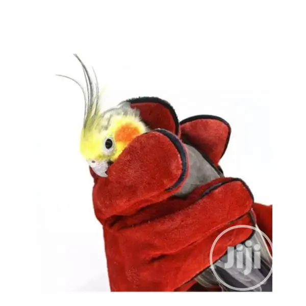 Bird Parrot Handling Gloves Pair