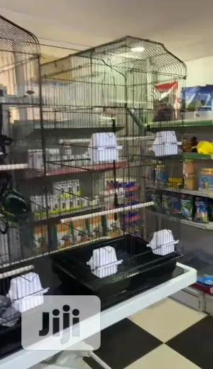 All Bird Cage Parrot