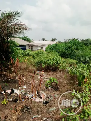 Gaztte and Along Dangote Refinery Road