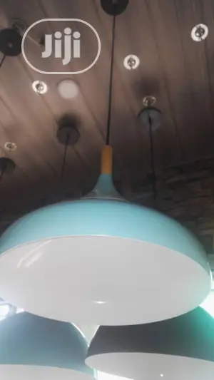 Pendant Drop Light