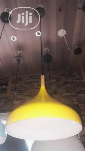 Pendant Drop Light