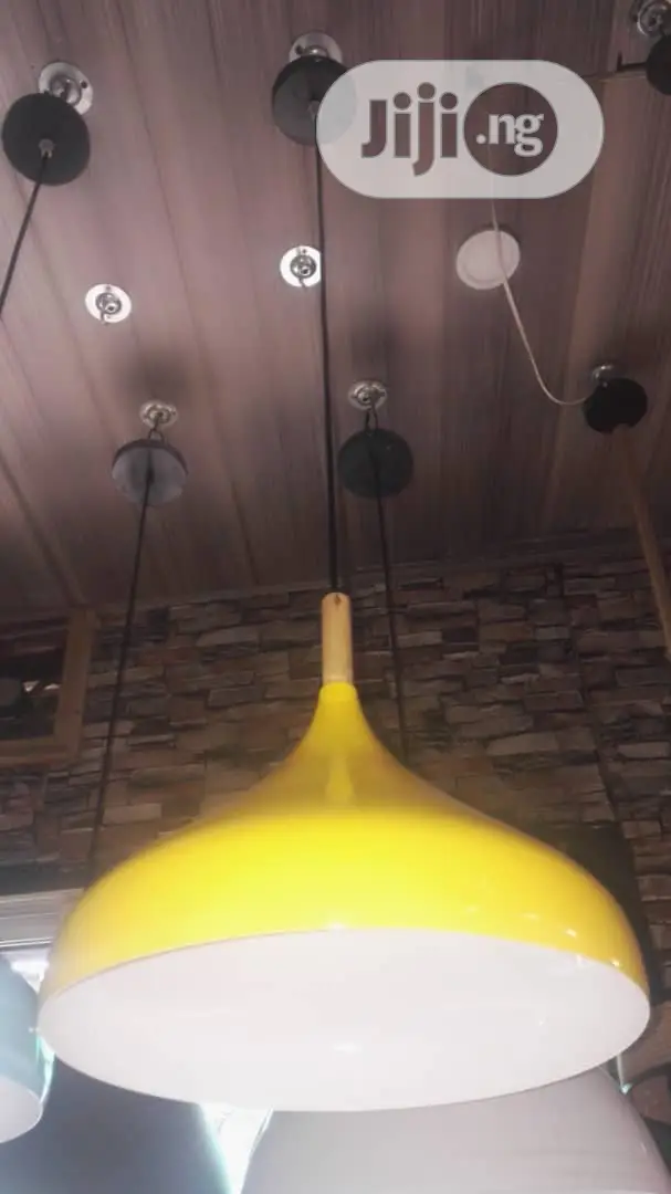 Pendant Drop Light