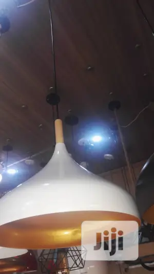 Pendant Drop Light