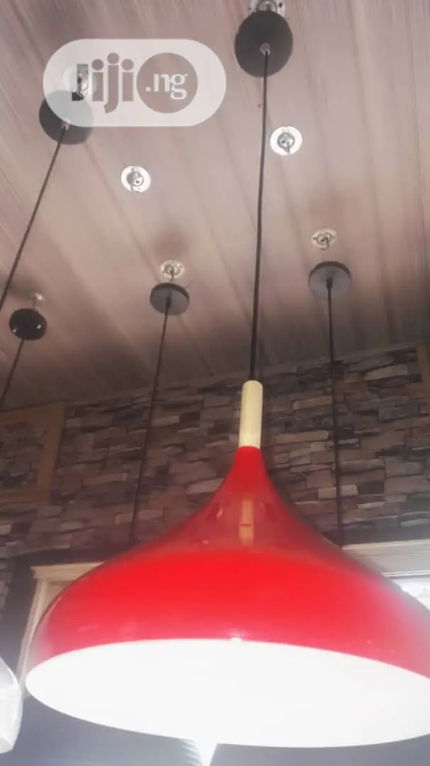 Pendant Drop Light