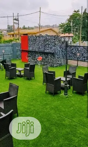 Carpet Grass Per Square Meter