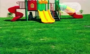 Carpet Grass Per Square Meter