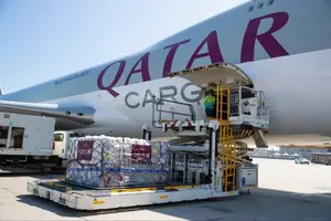 Professional Clearing Agent, Freight Services