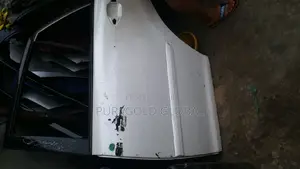 Lexus Door RX330