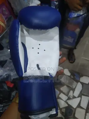 Everlast Boxing Gloves Blue