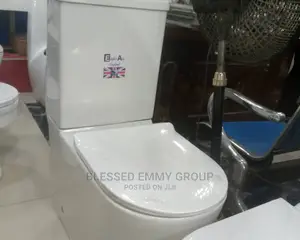 Eagle Standard Wc With the Wash Hand Basin and Pedestal