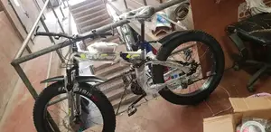 Adult Bicycles for Kids