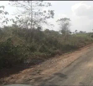 Sale! Sale!!
Prime Land(20plots)For Sale for a Mini Estate
