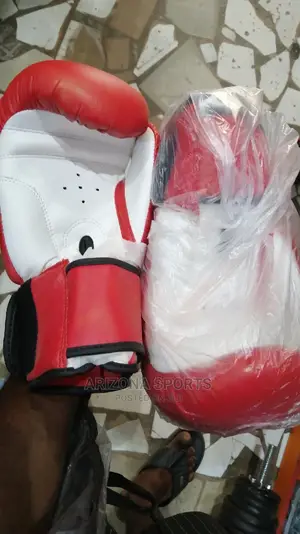 Boxing Gloves (Everlast)