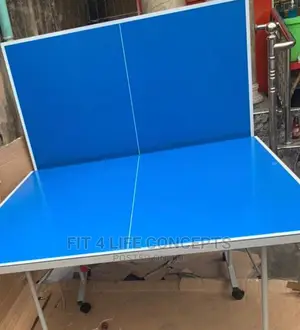 Outdoor Table Tennis