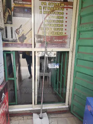 Original Stainless Microphone Stand